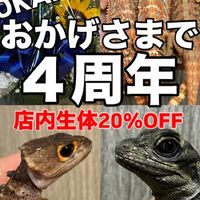 画像3918