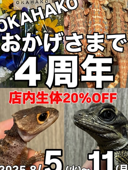 画像3918