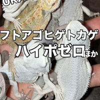 画像3925