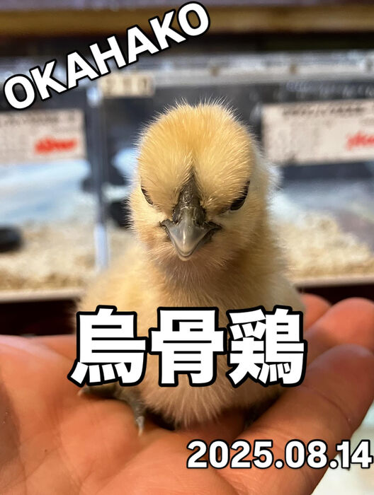 画像3970
