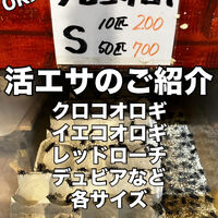 画像3977