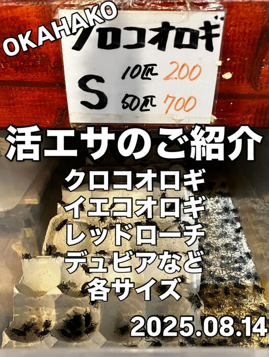 画像3977