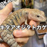 画像3986