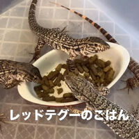 画像4076