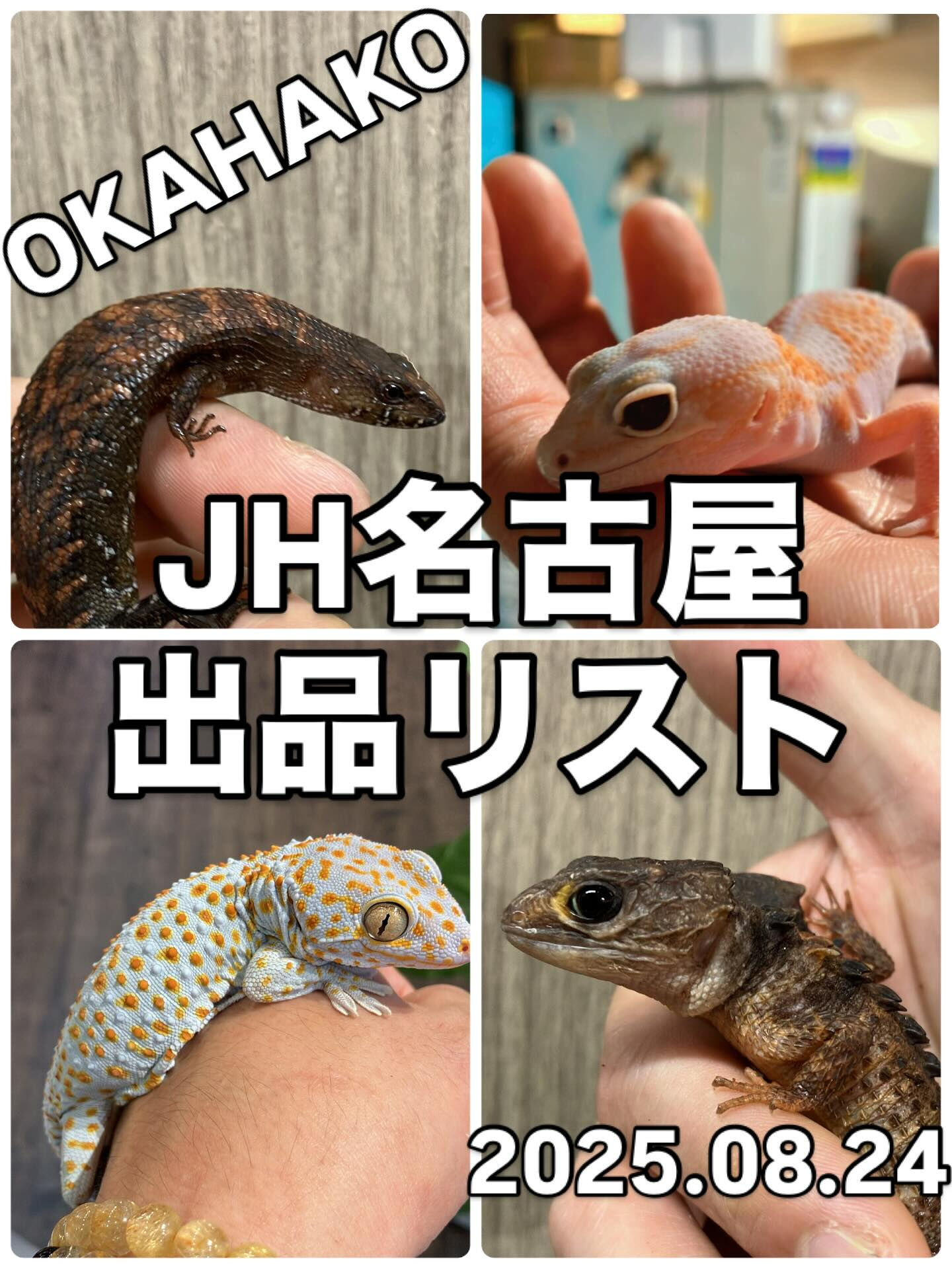 2025年8月24日(日) | ブログ | 大阪府門真市の爬虫類ショップなら