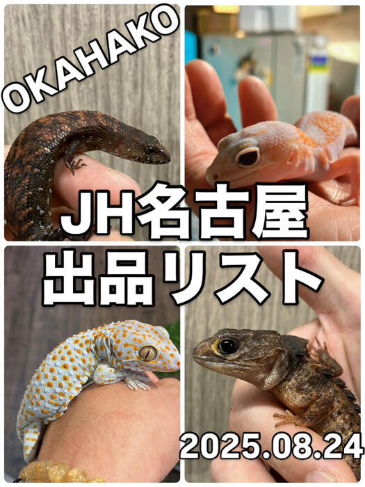 画像4150