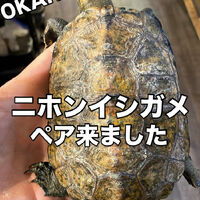画像4171