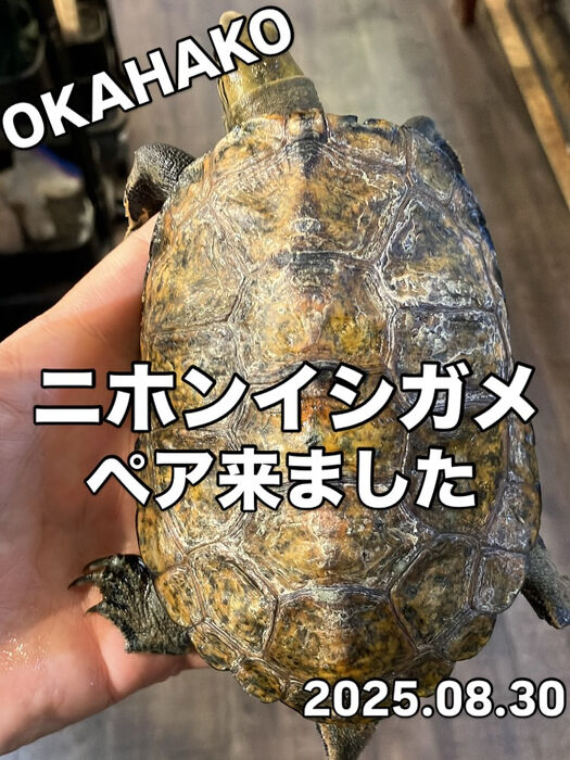 画像4171