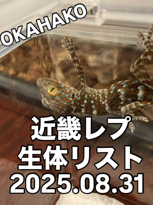 画像4176