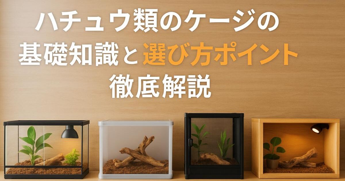 爬虫類のケージの基礎知識と選び方ポイント徹底解説｜人気サイズや素材 