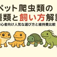 画像4751