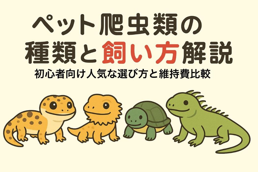 画像4751