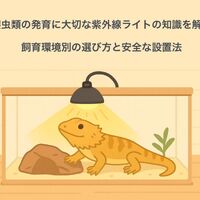 画像4783