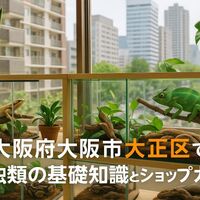 画像4842