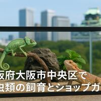 画像4866
