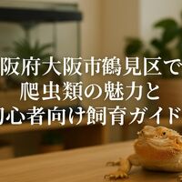 画像4890