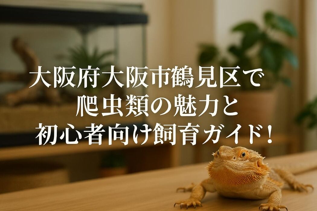 画像4890