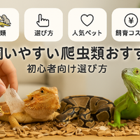 画像4917