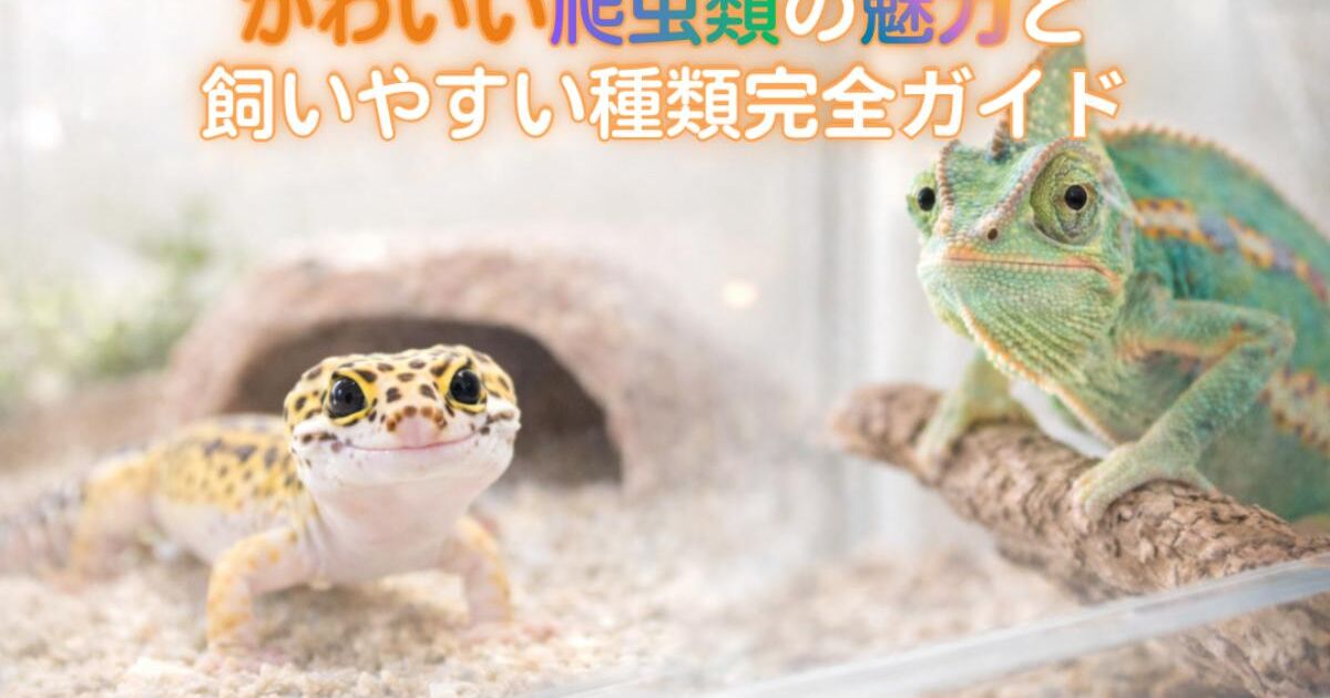 かわいい爬虫類の魅力と飼いやすい種類完全ガイド | メディア | 大阪府 