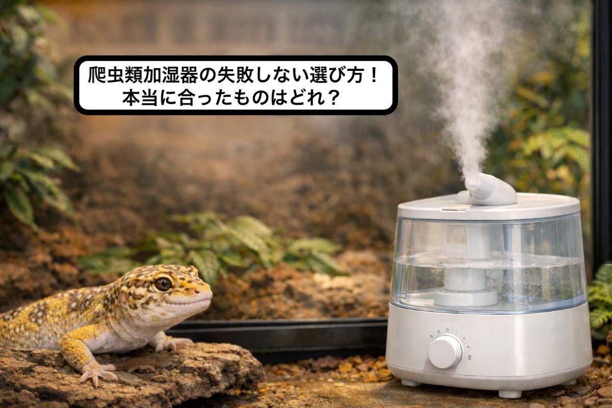 爬虫類加湿器の失敗しない選び方！本当に合ったものはどれ 