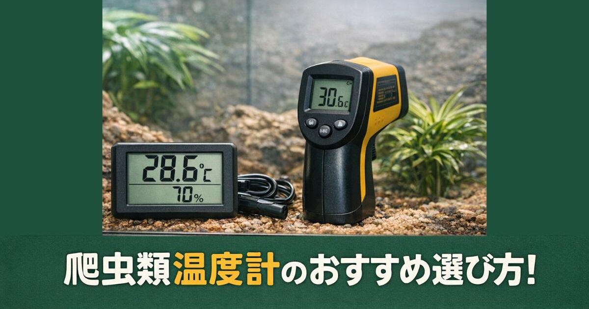 照明・温湿度計付き 飼育ケージ 爬虫類用
