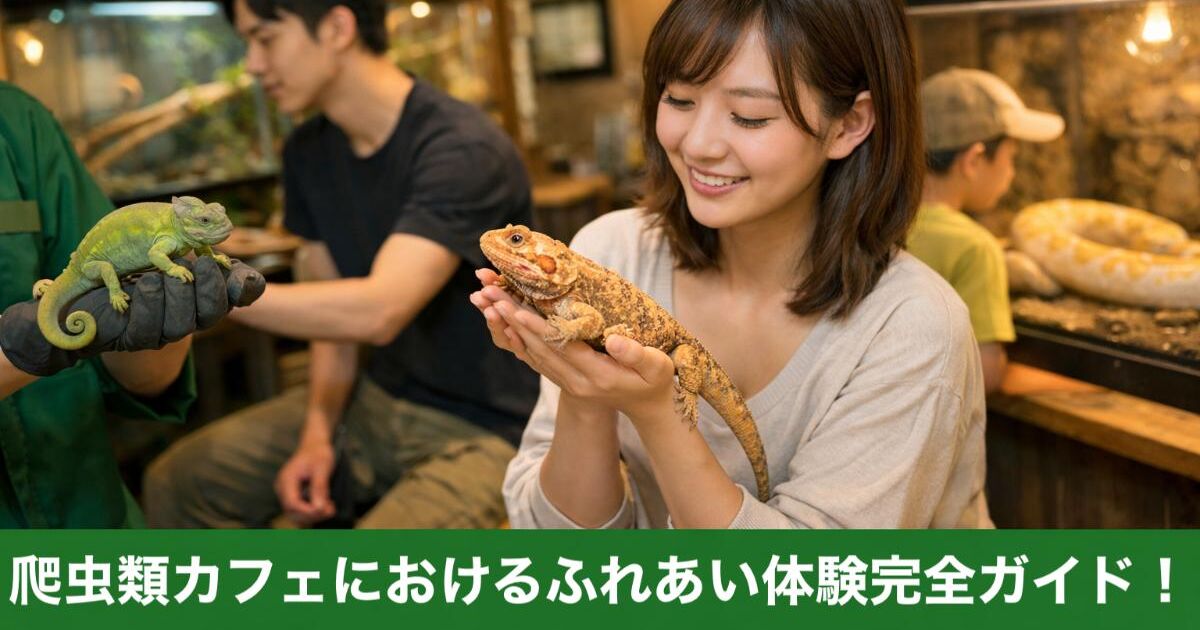 爬虫類カフェにおけるふれあい体験完全ガイド！魅力や選び方・楽しむ 