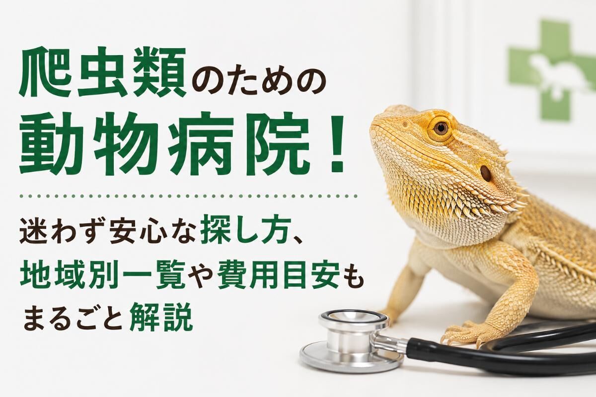爬虫類 動物 病院