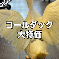 画像5879