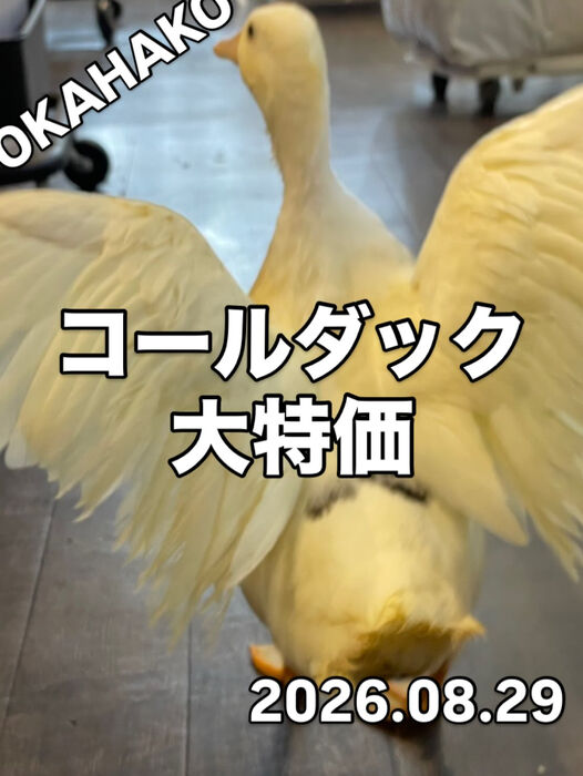 画像5879