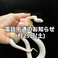 画像5893