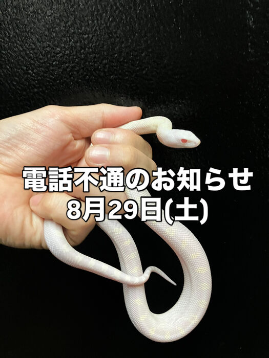 画像5893