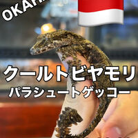 画像5895