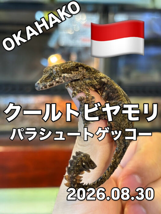 画像5895