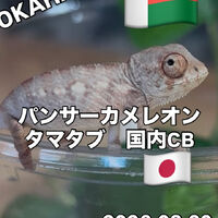 画像5900