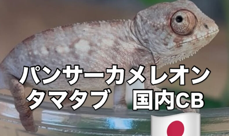 画像5900