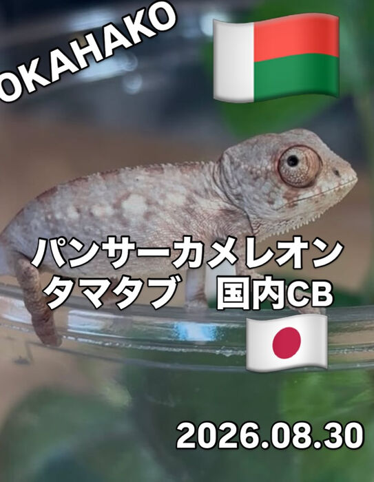 画像5900