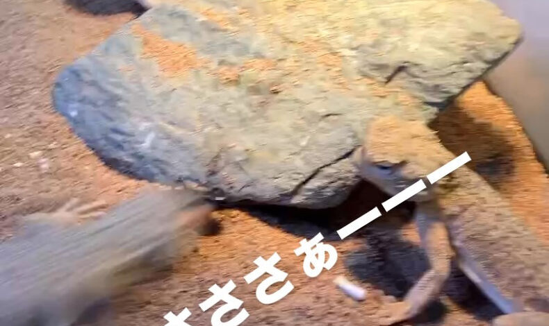 画像5904