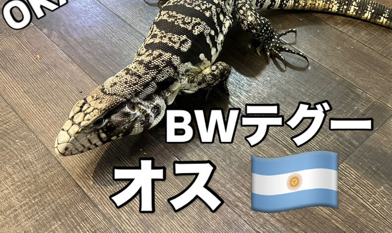 画像5906