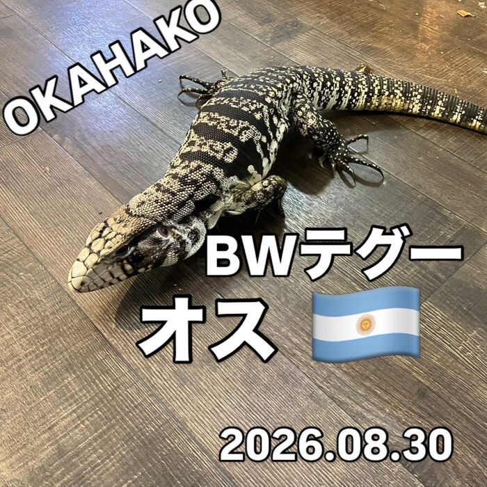 画像5906