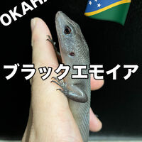 画像5908