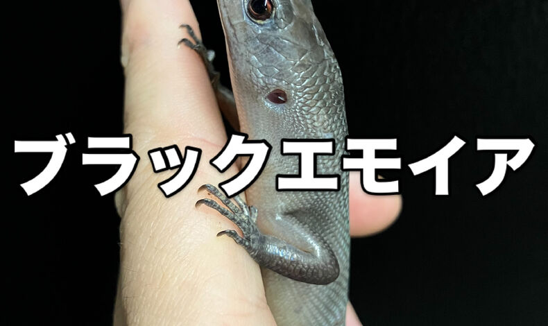 画像5908