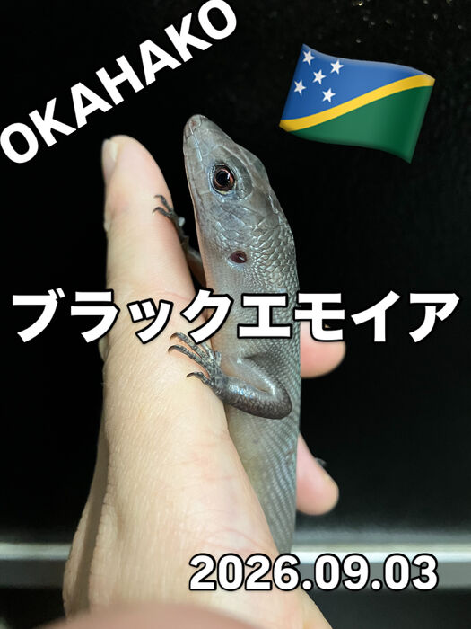 画像5908