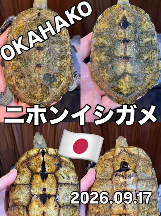 画像5915