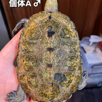 画像5916