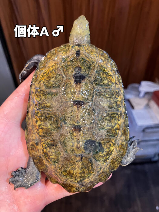 画像5916