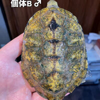 画像5918