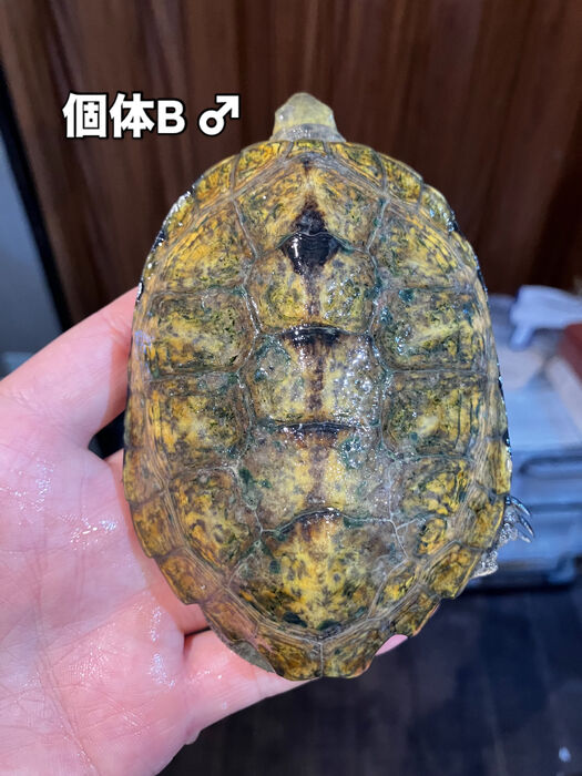 画像5918
