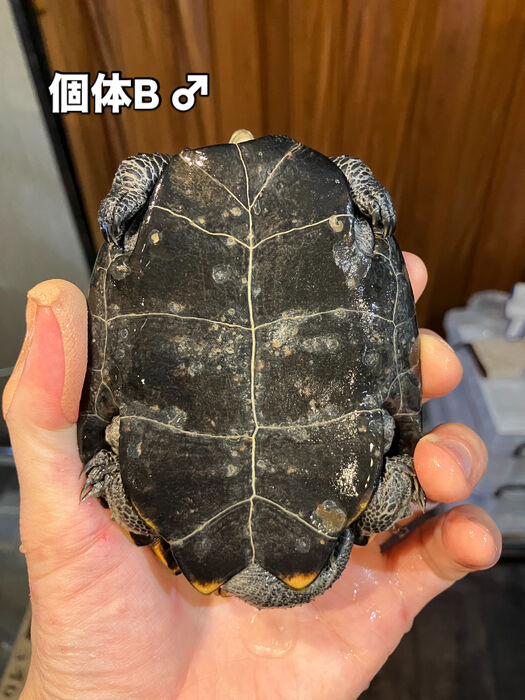 画像5919