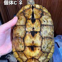 画像5920