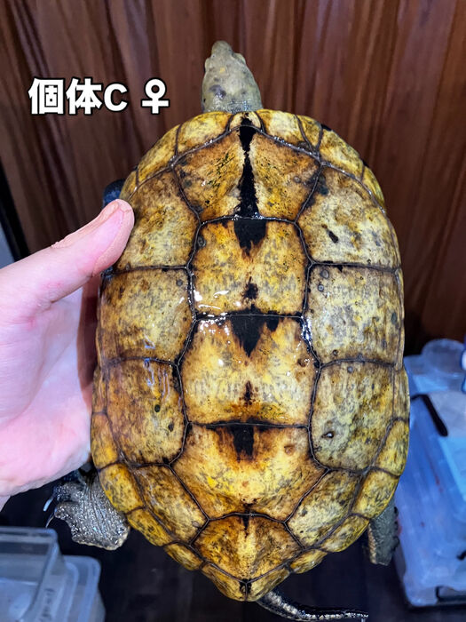 画像5920